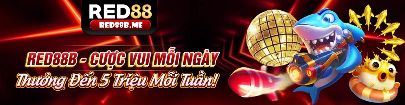 Điều Khoản Dịch Vụ win999 nhà cái